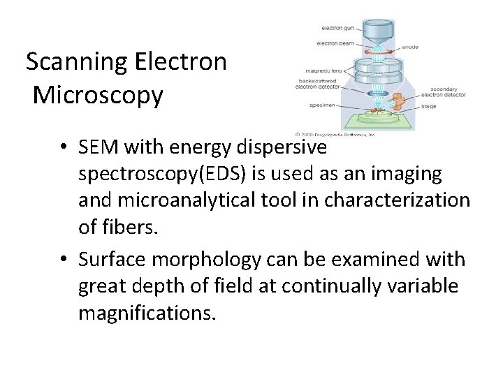 Scanning Electron Microscopy • SEM with energy dispersive spectroscopy(EDS) is used as an imaging
