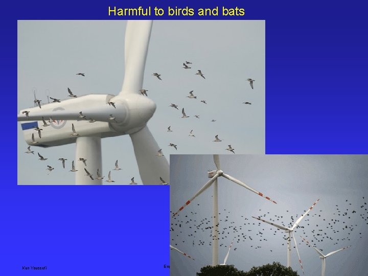 Harmful to birds and bats Ken Youssefi Engineering 10, SJSU 7 