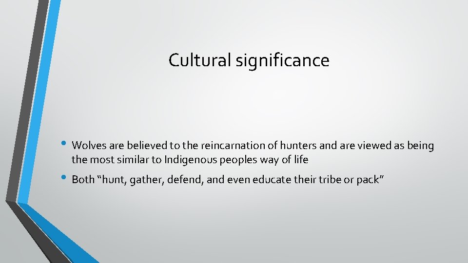 Cultural significance • Wolves are believed to the reincarnation of hunters and are viewed