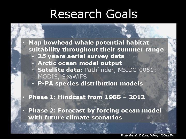 Research Goals • Map bowhead whale potential habitat suitability throughout their summer range •