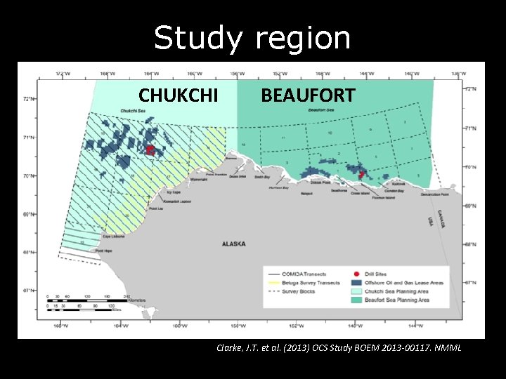 Study region CHUKCHI BEAUFORT Clarke, J. T. et al. (2013) OCS Study BOEM 2013