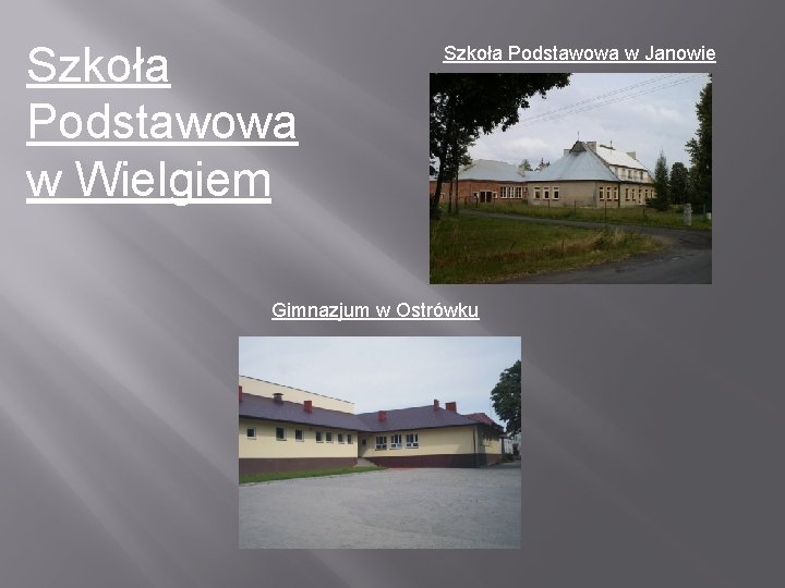 Szkoła Podstawowa w Wielgiem Szkoła Podstawowa w Janowie Gimnazjum w Ostrówku 