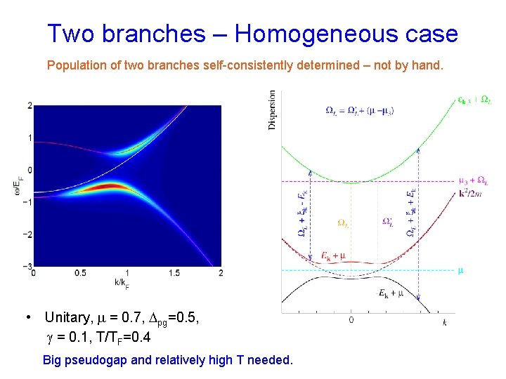 Two branches – Homogeneous case Population of two branches self-consistently determined – not by