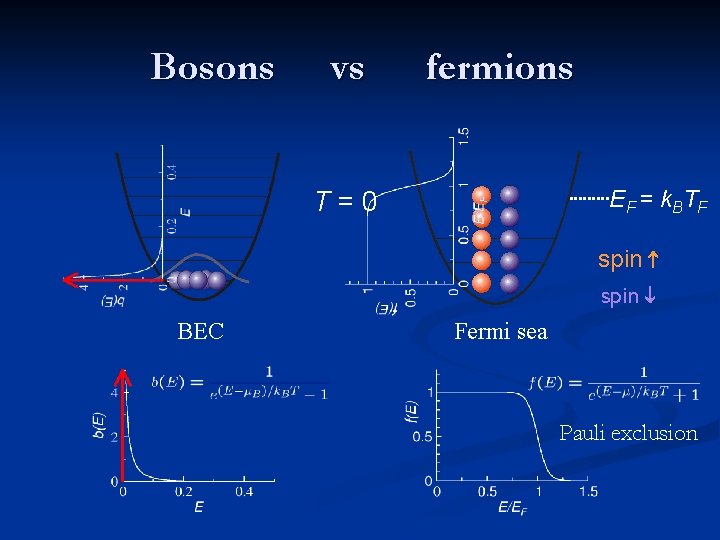 Bosons vs fermions E F = k. B T F T=0 spin BEC Fermi