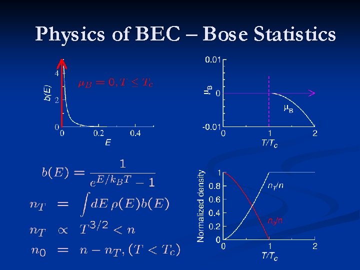 Physics of BEC – Bose Statistics 