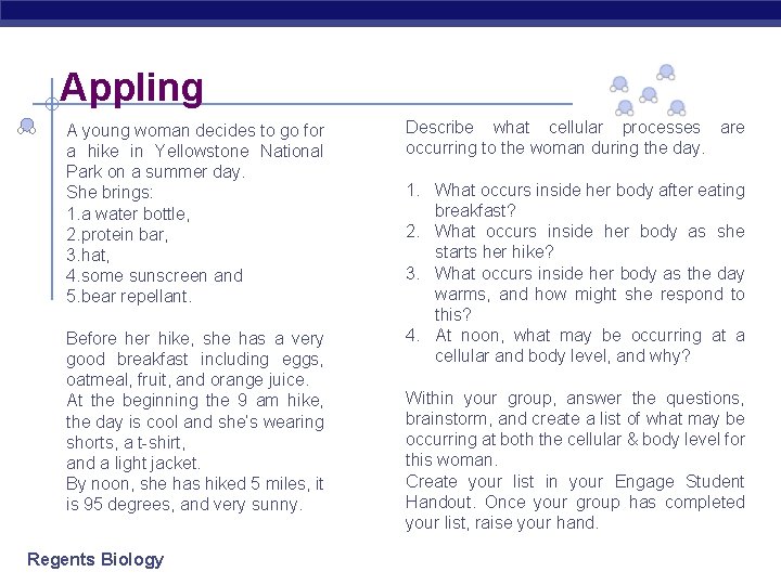 Appling A young woman decides to go for a hike in Yellowstone National Park