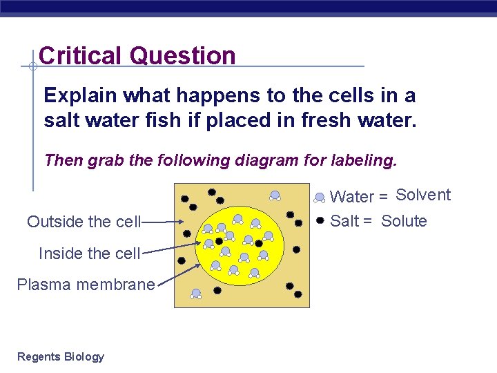 Critical Question Explain what happens to the cells in a salt water fish if