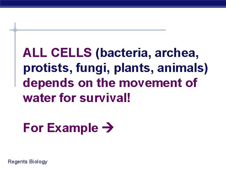 ALL CELLS (bacteria, archea, protists, fungi, plants, animals) depends on the movement of water