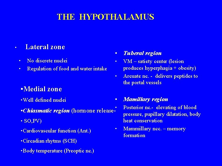 THE HYPOTHALAMUS Lateral zone • • • No discrete nuclei Regulation of food and