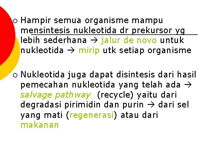 ¡ ¡ Hampir semua organisme mampu mensintesis nukleotida dr prekursor yg lebih sederhana jalur