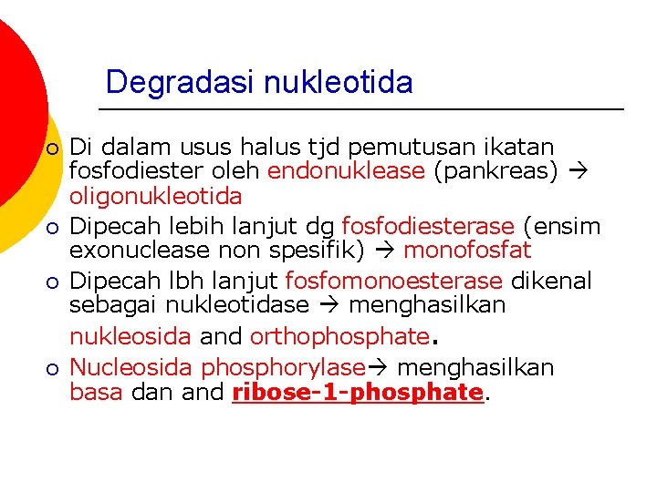Degradasi nukleotida ¡ ¡ Di dalam usus halus tjd pemutusan ikatan fosfodiester oleh endonuklease