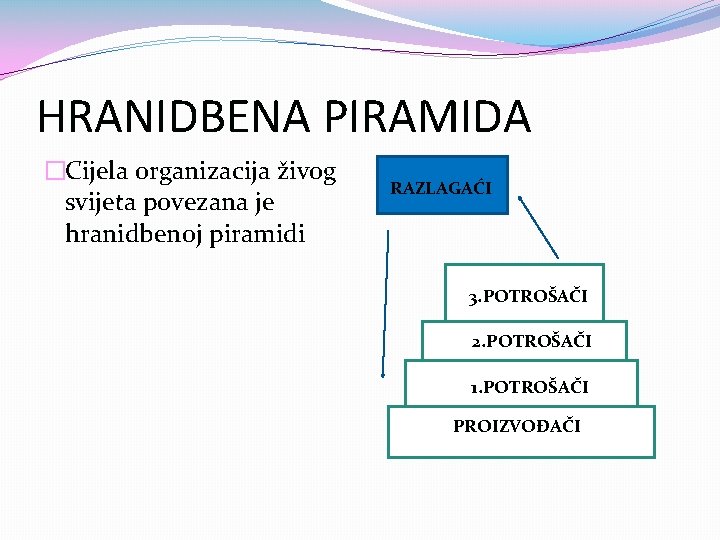 HRANIDBENA PIRAMIDA �Cijela organizacija živog svijeta povezana je hranidbenoj piramidi RAZLAGAĆI 3. POTROŠAČI 2.