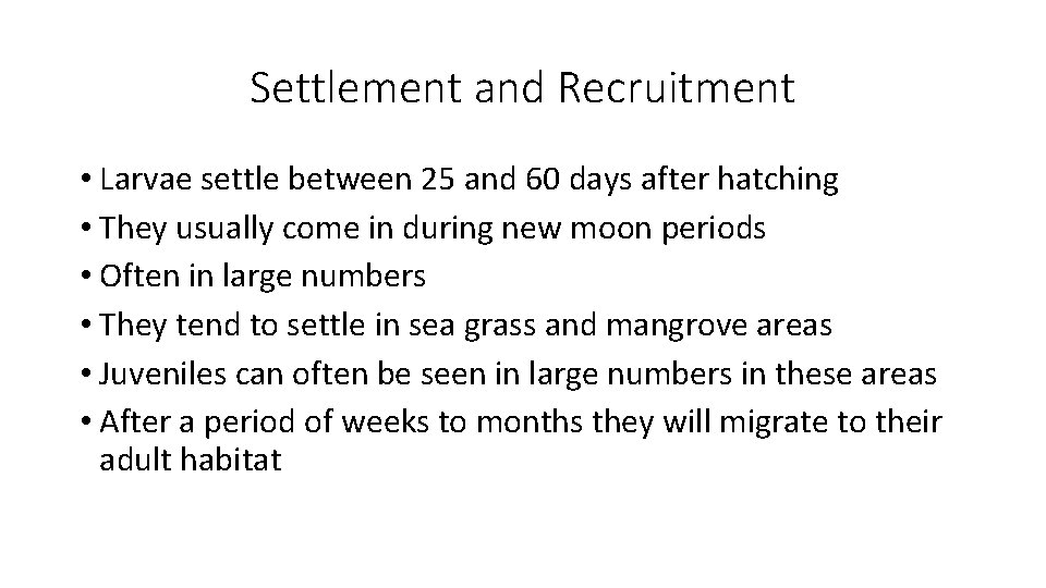 Settlement and Recruitment • Larvae settle between 25 and 60 days after hatching •