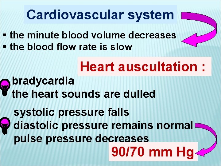 Cardiovascular system § the minute blood volume decreases § the blood flow rate is