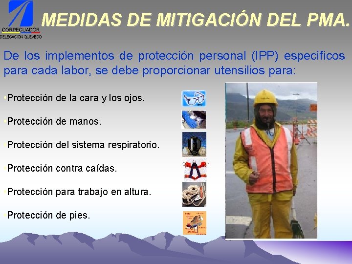 MEDIDAS DE MITIGACIÓN DEL PMA. De los implementos de protección personal (IPP) específicos para