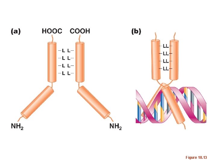 Figure 18. 13 