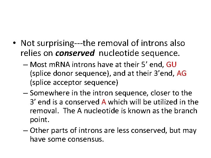  • Not surprising---the removal of introns also relies on conserved nucleotide sequence. –