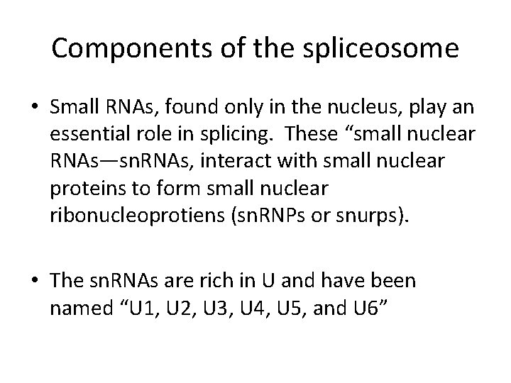 Components of the spliceosome • Small RNAs, found only in the nucleus, play an