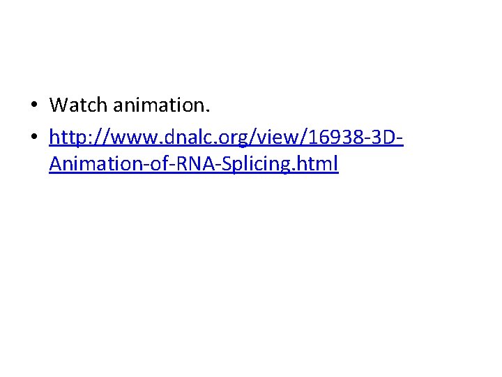  • Watch animation. • http: //www. dnalc. org/view/16938 -3 DAnimation-of-RNA-Splicing. html 