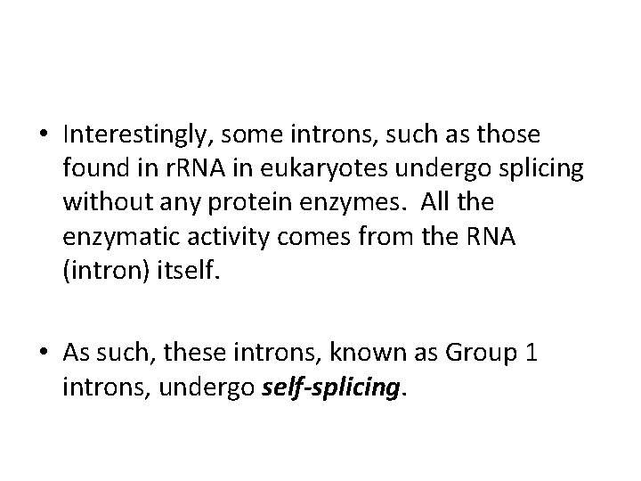  • Interestingly, some introns, such as those found in r. RNA in eukaryotes