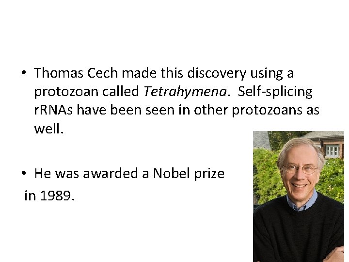  • Thomas Cech made this discovery using a protozoan called Tetrahymena. Self-splicing r.