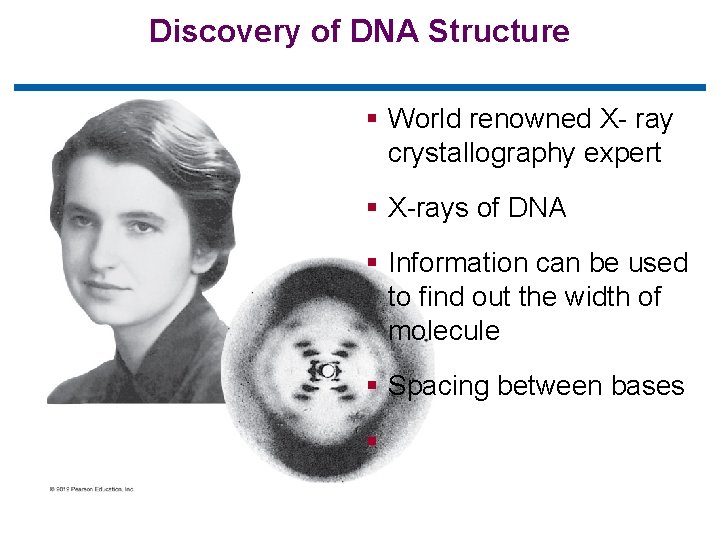 Discovery of DNA Structure § World renowned X- ray crystallography expert § X-rays of