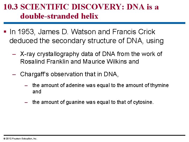 10. 3 SCIENTIFIC DISCOVERY: DNA is a double-stranded helix § In 1953, James D.