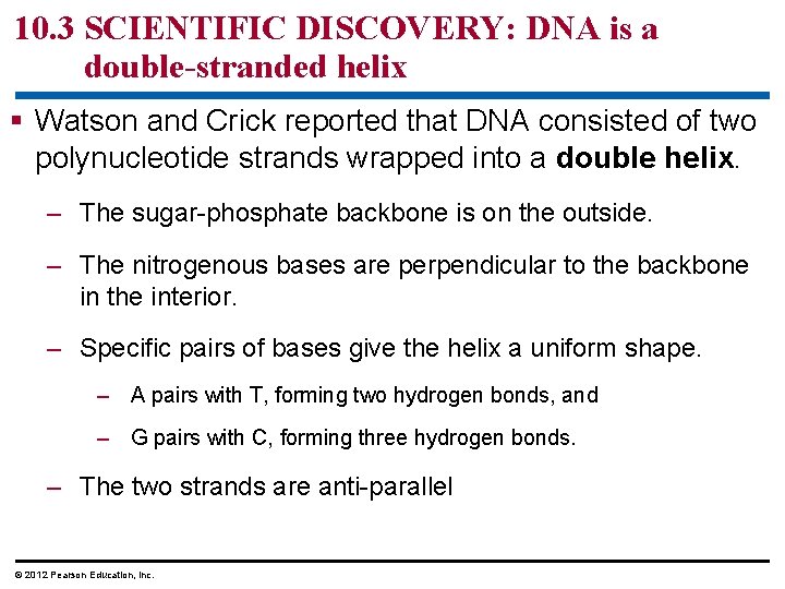 10. 3 SCIENTIFIC DISCOVERY: DNA is a double-stranded helix § Watson and Crick reported