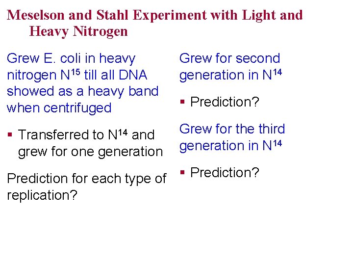 Meselson and Stahl Experiment with Light and Heavy Nitrogen Grew E. coli in heavy