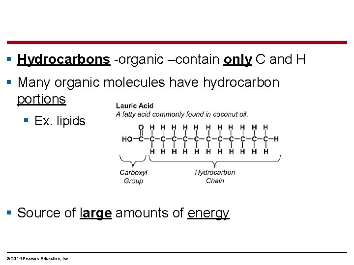 § Hydrocarbons -organic –contain only C and H § Many organic molecules have hydrocarbon