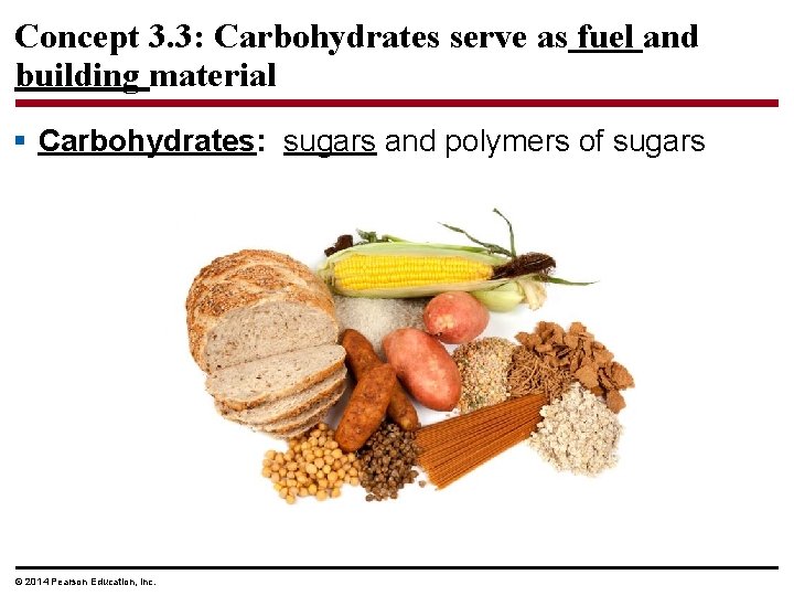 Concept 3. 3: Carbohydrates serve as fuel and building material § Carbohydrates: sugars and