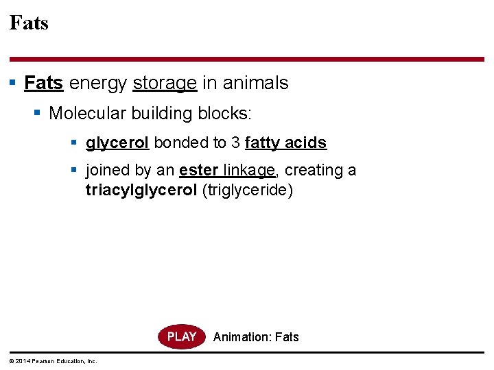 Fats § Fats energy storage in animals § Molecular building blocks: § glycerol bonded