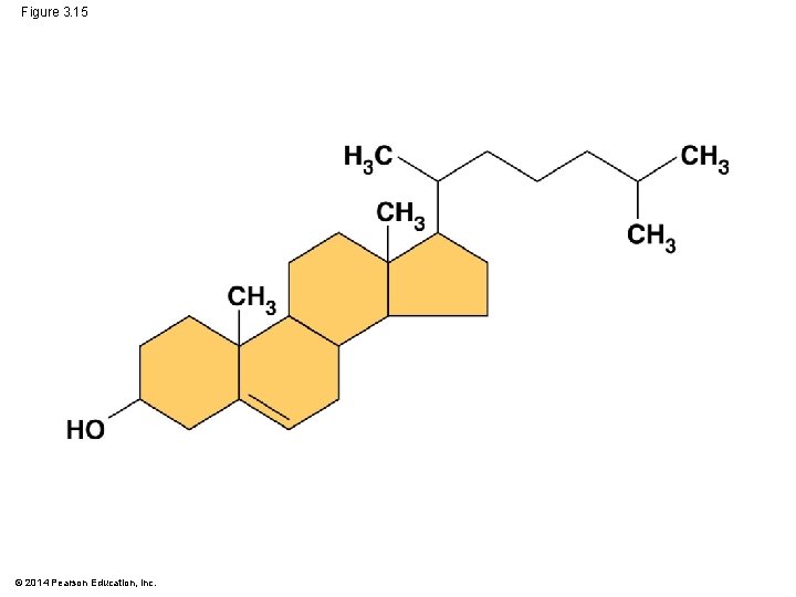 Figure 3. 15 © 2014 Pearson Education, Inc. 