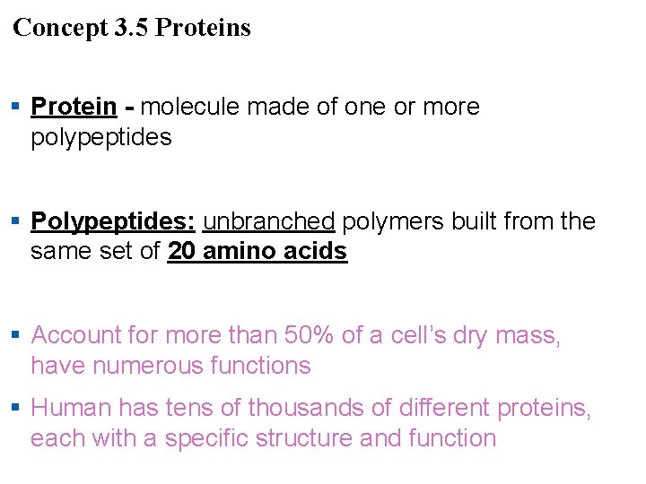 Concept 3. 5 Proteins § Protein - molecule made of one or more polypeptides