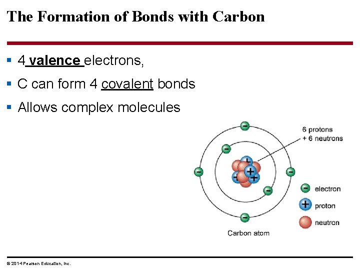 The Formation of Bonds with Carbon § 4 valence electrons, § C can form