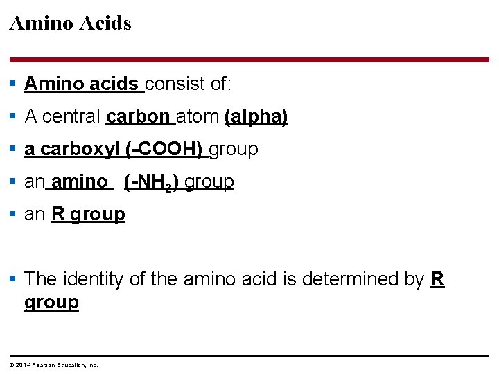 Amino Acids § Amino acids consist of: § A central carbon atom (alpha) §