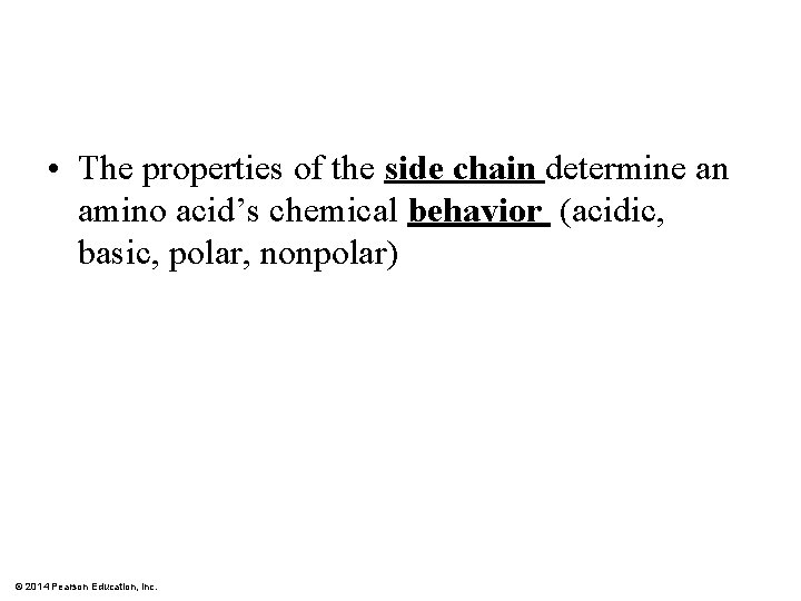  • The properties of the side chain determine an amino acid’s chemical behavior