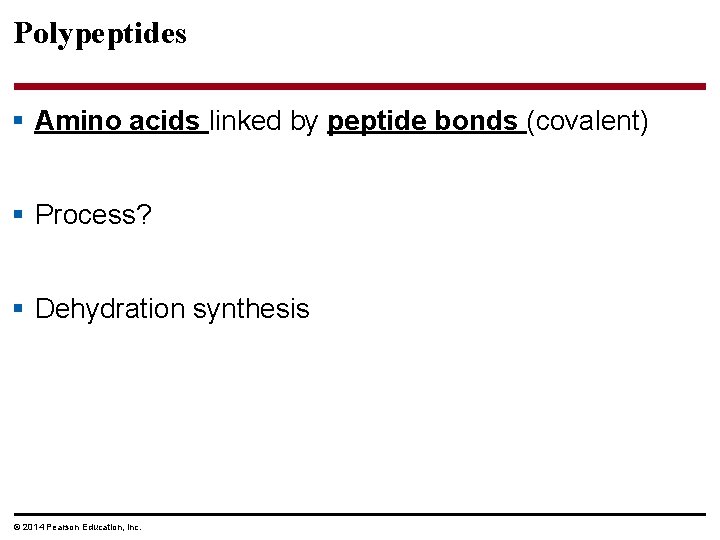 Polypeptides § Amino acids linked by peptide bonds (covalent) § Process? § Dehydration synthesis