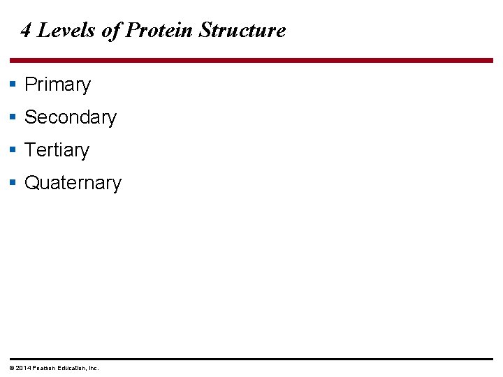 4 Levels of Protein Structure § Primary § Secondary § Tertiary § Quaternary ©