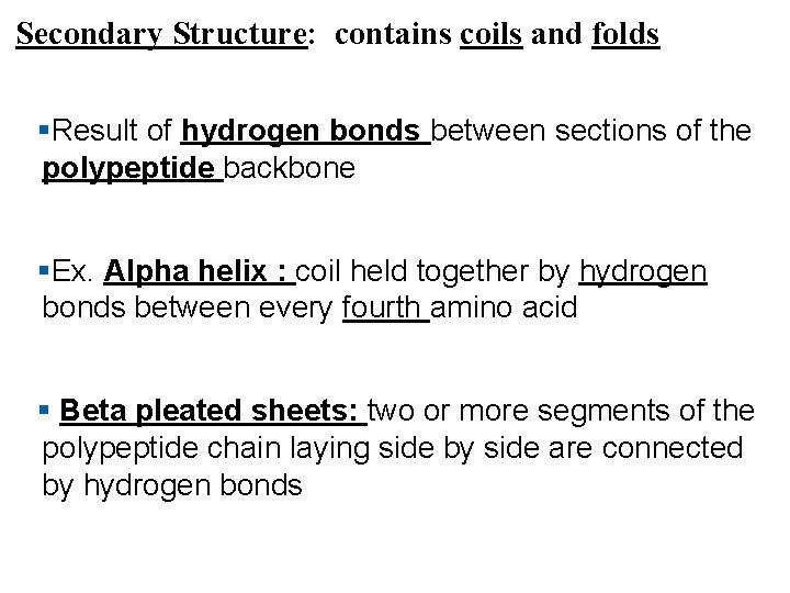 Secondary Structure: contains coils and folds §Result of hydrogen bonds between sections of the