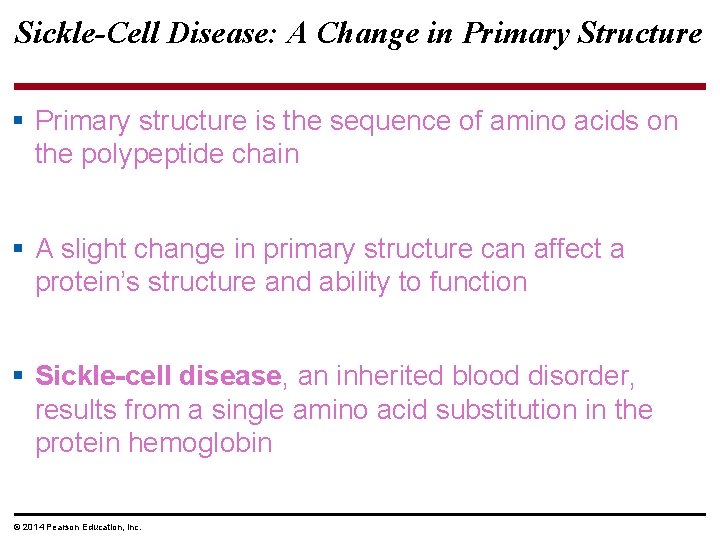 Sickle-Cell Disease: A Change in Primary Structure § Primary structure is the sequence of