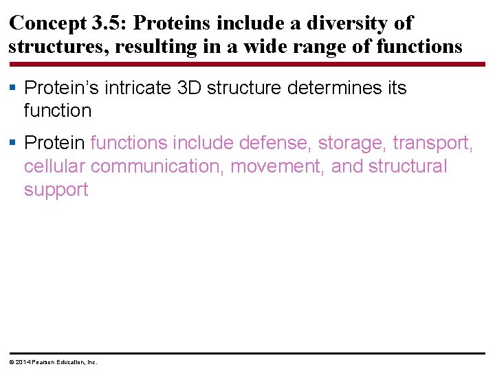 Concept 3. 5: Proteins include a diversity of structures, resulting in a wide range