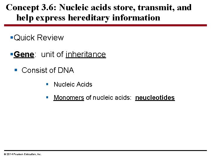 Concept 3. 6: Nucleic acids store, transmit, and help express hereditary information §Quick Review