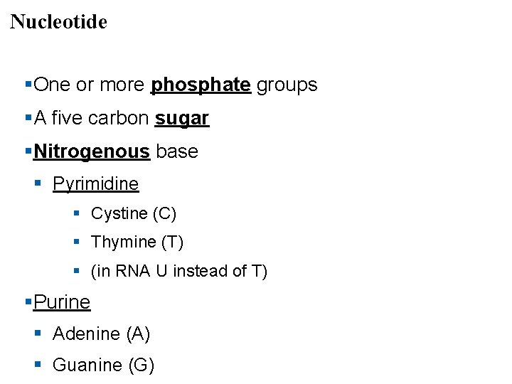 Nucleotide §One or more phosphate groups §A five carbon sugar §Nitrogenous base § Pyrimidine