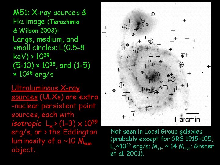 M 51: X-ray sources & H image (Terashima & Wilson 2003): Large, medium, and