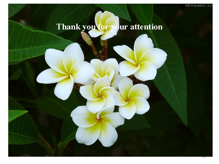Thank you for your attention 35 