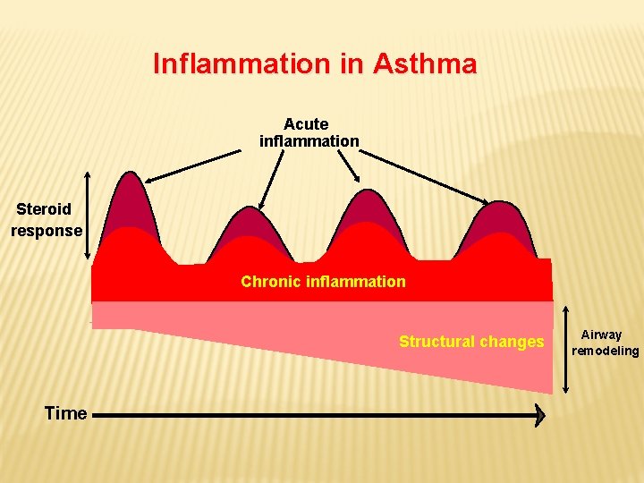  Inflammation in Asthma Acute inflammation Steroid response Chronic inflammation Structural changes Time Airway