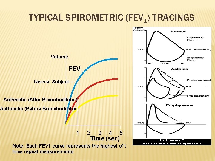 TYPICAL SPIROMETRIC (FEV 1) TRACINGS Volume FEV 1 Normal Subject Asthmatic (After Bronchodilator) Asthmatic