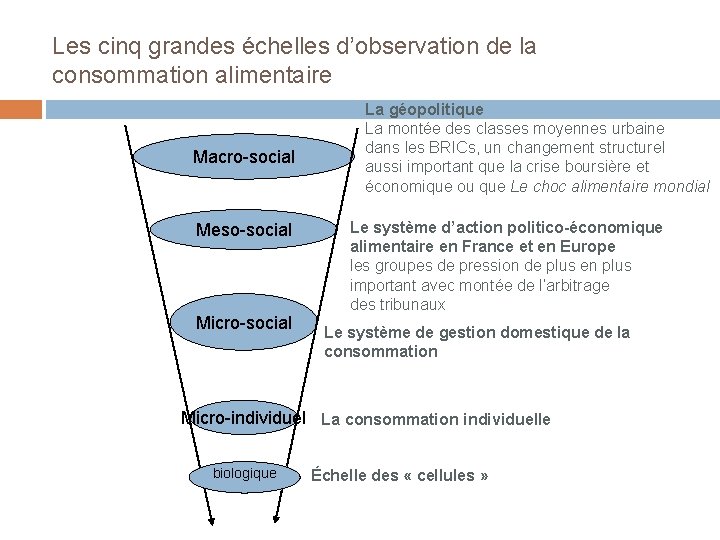 Les cinq grandes échelles d’observation de la consommation alimentaire Macro-social Meso-social Micro-social La géopolitique