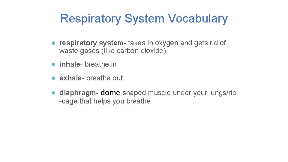 Respiratory System Vocabulary ● respiratory system- takes in oxygen and gets rid of waste